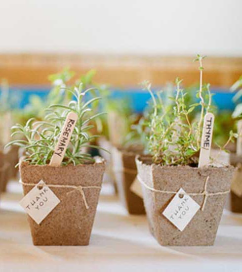 Eco-Friendly Weddings